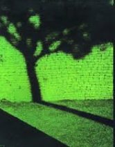 Uncategorized – Vinyl Vibrations with Brian Frederick podcast